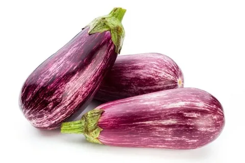 فروش بادمجان ابرقویی + قیمت خرید به صرفه